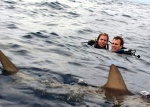 Swimming With Sharks Swimming With Sharks