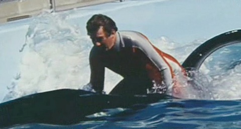 The Shat's Interest In Sea Life Started Early The Shat's Interest In Sea Life Started Early