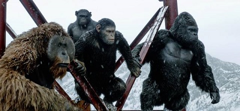They Won't Make A Monkey Out Of Me They Won't Make A Monkey Out Of Me