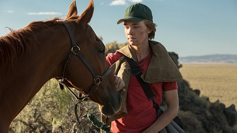 My Lovely Horse My Lovely Horse