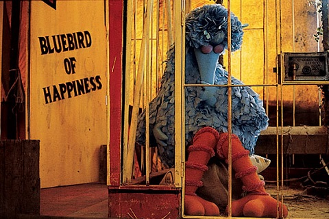 How To Get To Sesame Street? How To Get To Sesame Street?