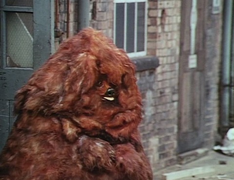 You Yeti You Yeti You Bet You Yeti You Yeti You Bet