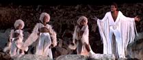Holy Roller Boogie Holy Roller Boogie