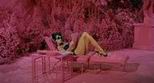 Pink Widow Pink Widow