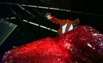 Red Menace Red Menace