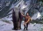 The Elephant And Hassle The Elephant And Hassle