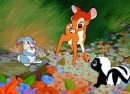 Stag Movie Stag Movie