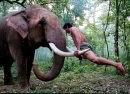 Elephantastic Elephantastic