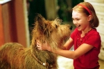 ... annasophia robb jeff daniel...