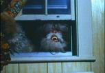 Put Your Bigfoot In It Put Your Bigfoot In It