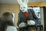 Bunny Bother Bunny Bother