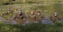 Watery Grave Watery Grave