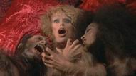Your Sister is a Werewolf Your Sister is a Werewolf