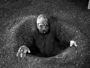 Dig Your Own Hole Dig Your Own Hole