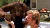 One Man And His Ape One Man And His Ape