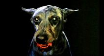 Blood Hound Gang Blood Hound Gang