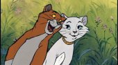Nine Lives Come In Handy Nine Lives Come In Handy