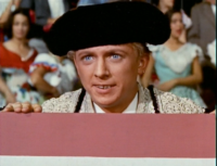 Raging Bullfighter Raging Bullfighter