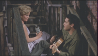 Elvis's Choice Elvis's Choice