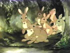 Rabbitting On Rabbitting On