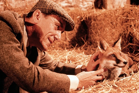 Animal Cunning Animal Cunning