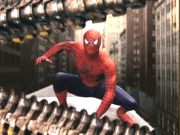Spins A Web - Any Size Spins A Web - Any Size