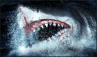 A Shark Worse Than Its Bite A Shark Worse Than Its Bite