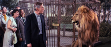 Animal Instincts Animal Instincts