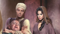 Elvis Of Arabia Elvis Of Arabia
