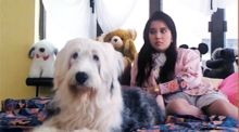 Love that Dog Love that Dog