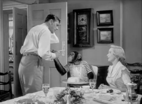 Ronnie Goes Ape Ronnie Goes Ape