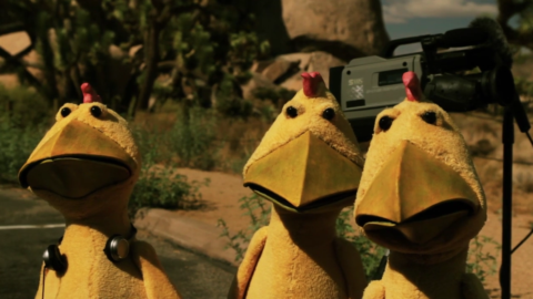 Fowl Play Fowl Play