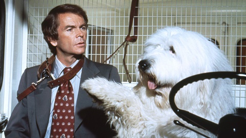 Ruff Justice Ruff Justice