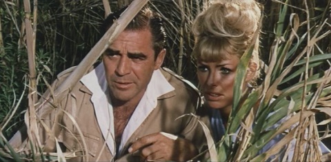 The Planes Down In Africa