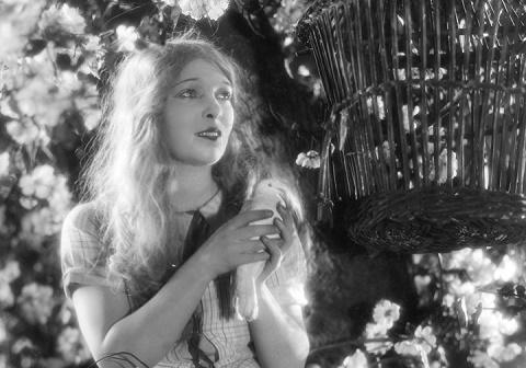 Greeted And Respectfully Seated