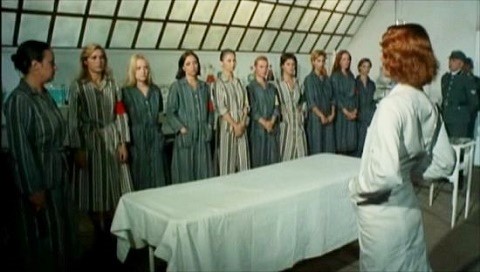 The More I Hear About Nazis The Less I Like Them