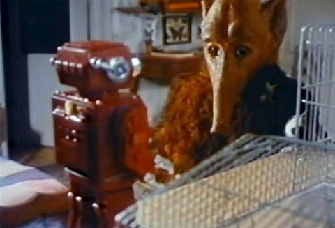 Not Exactly The Spanish Spielberg