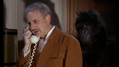 Monkey business in Soho