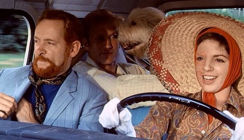 Three Against The World