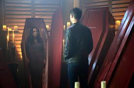 Young monsters chasing their dreams in a crazy mixed-up world