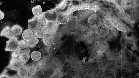 All The Small Things