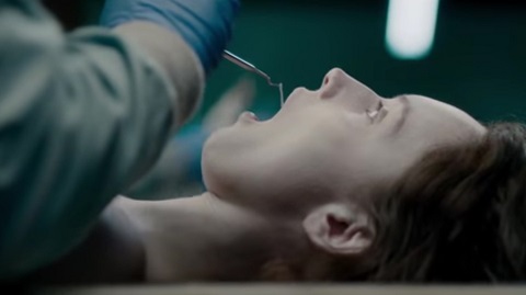 The Body In Question