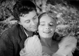 Life could be a dream, sweetheart