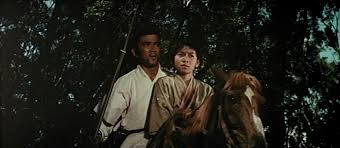 Respect your country, whipper-snapper