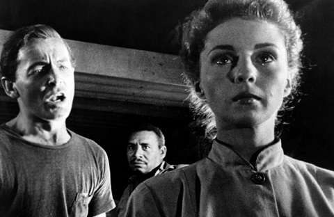 Would You Adam And Eve It?