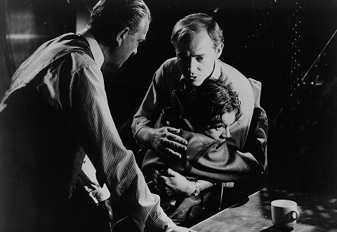 They All Float Down Here