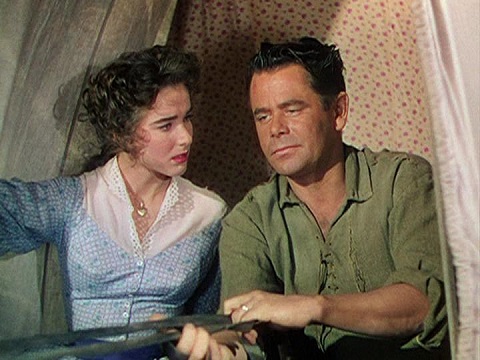 Coward Of The County