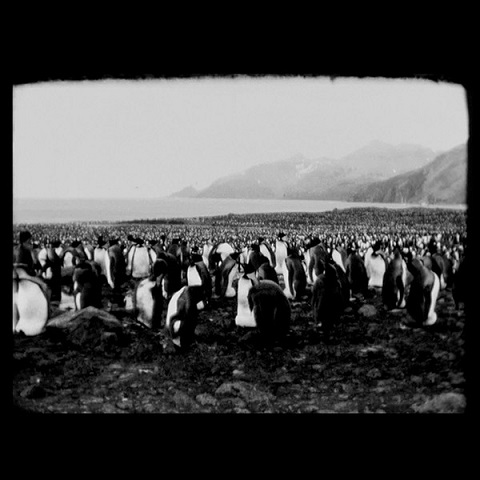 Here Comes The Night