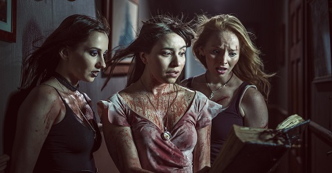 Turn Over A New Leaf