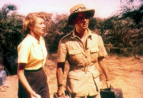 But There Is A Bloody Big Elephant